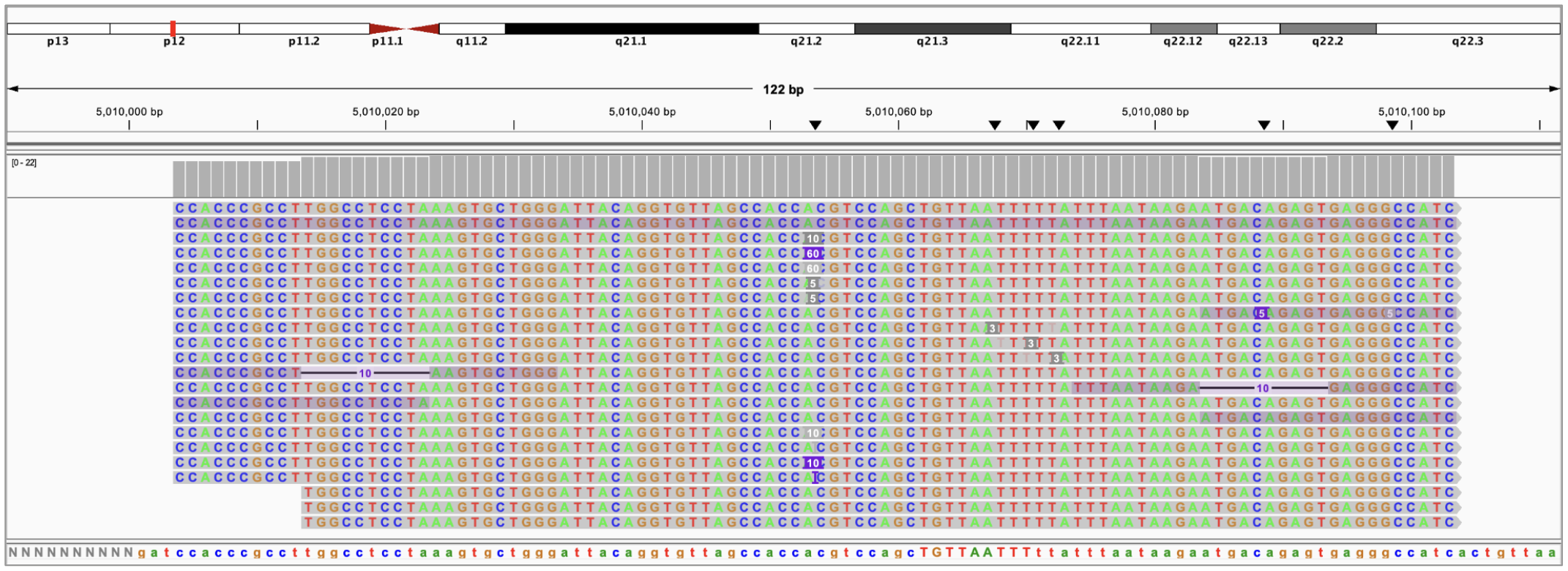 SBX simplex tail recoloring example