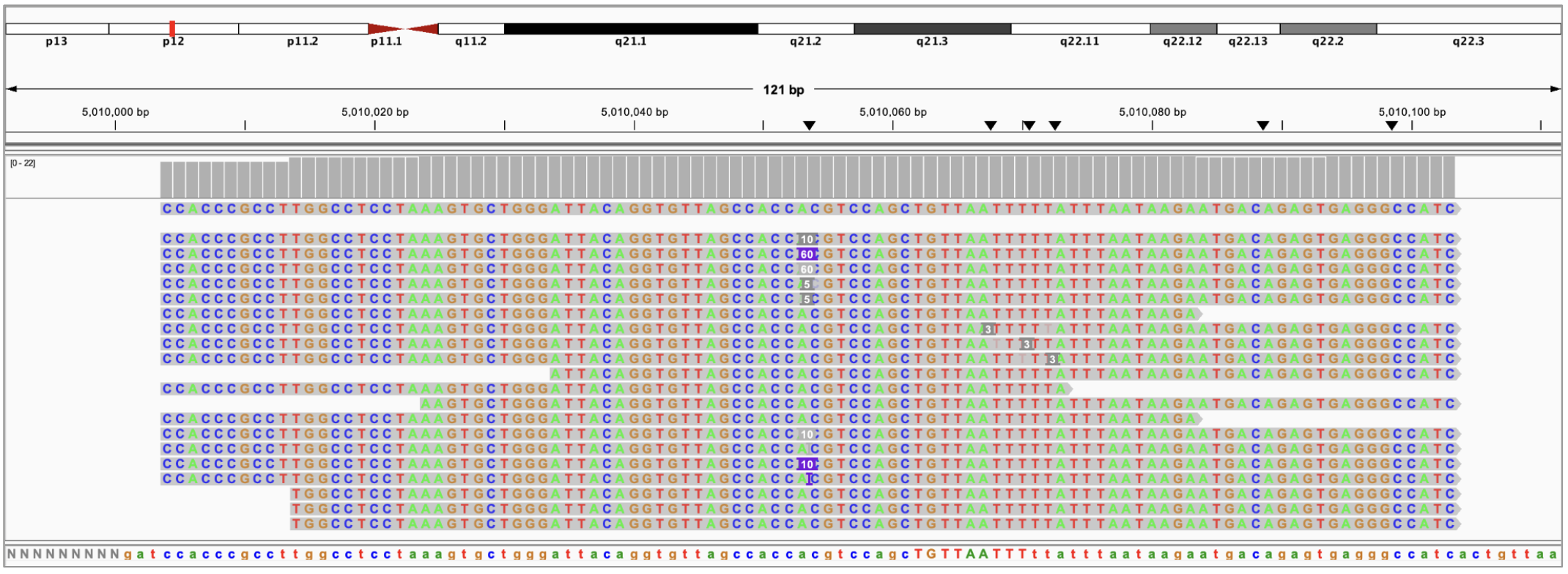 SBX simplex tail hiding example